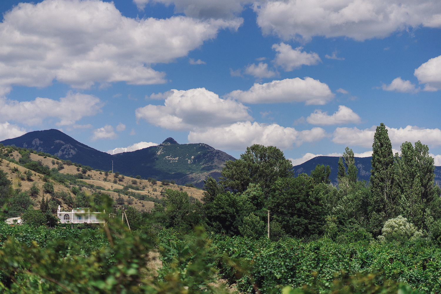 Sochi and Crimea, frame 225