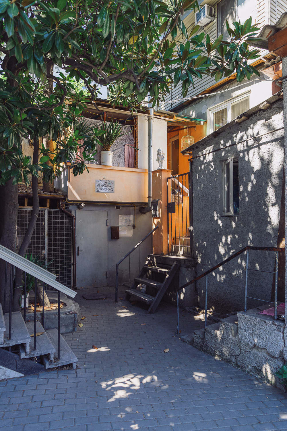 Sochi and Crimea, frame 242