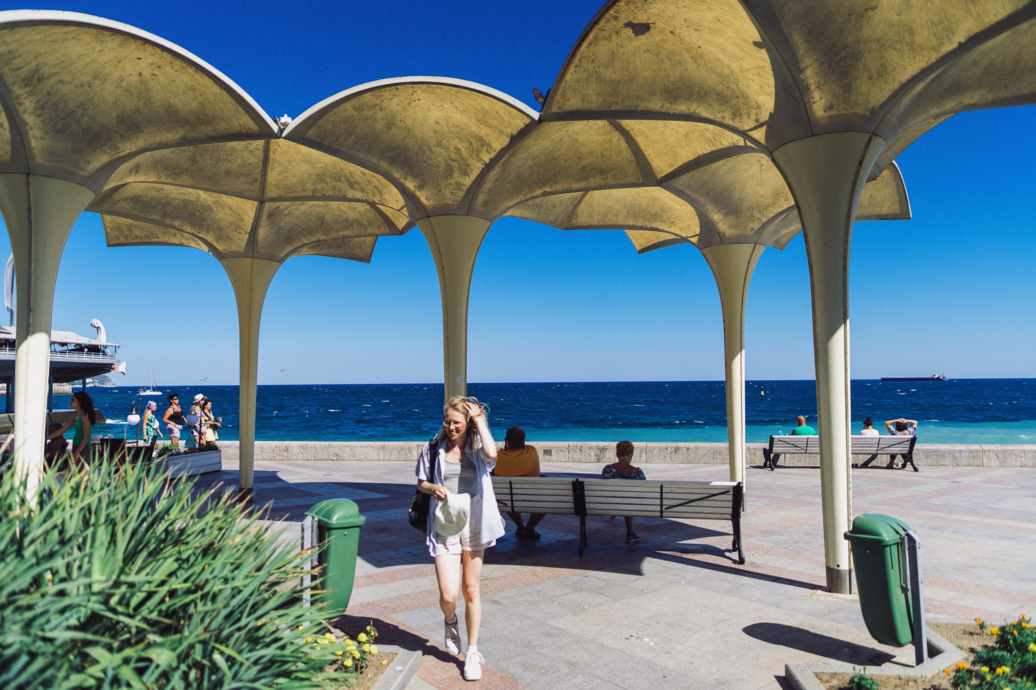 Sochi and Crimea, frame 245