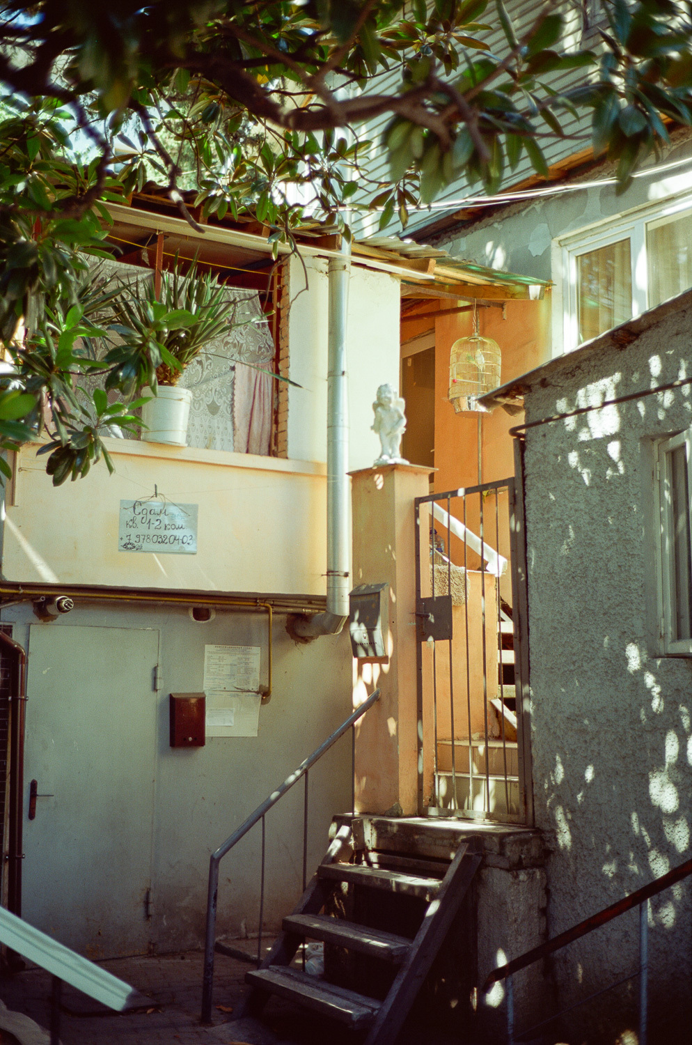 Sochi and Crimea, frame 251