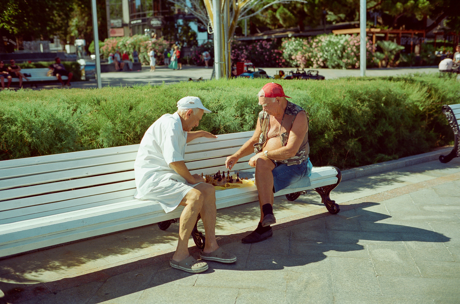 Sochi and Crimea, frame 256
