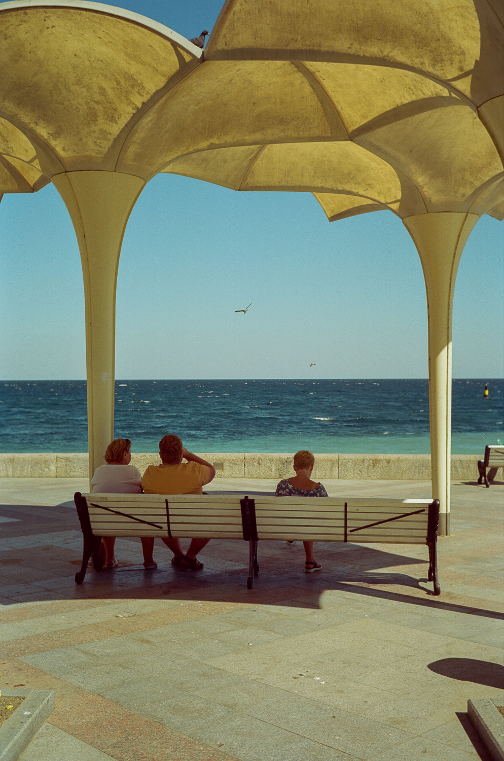 Sochi and Crimea, frame 258