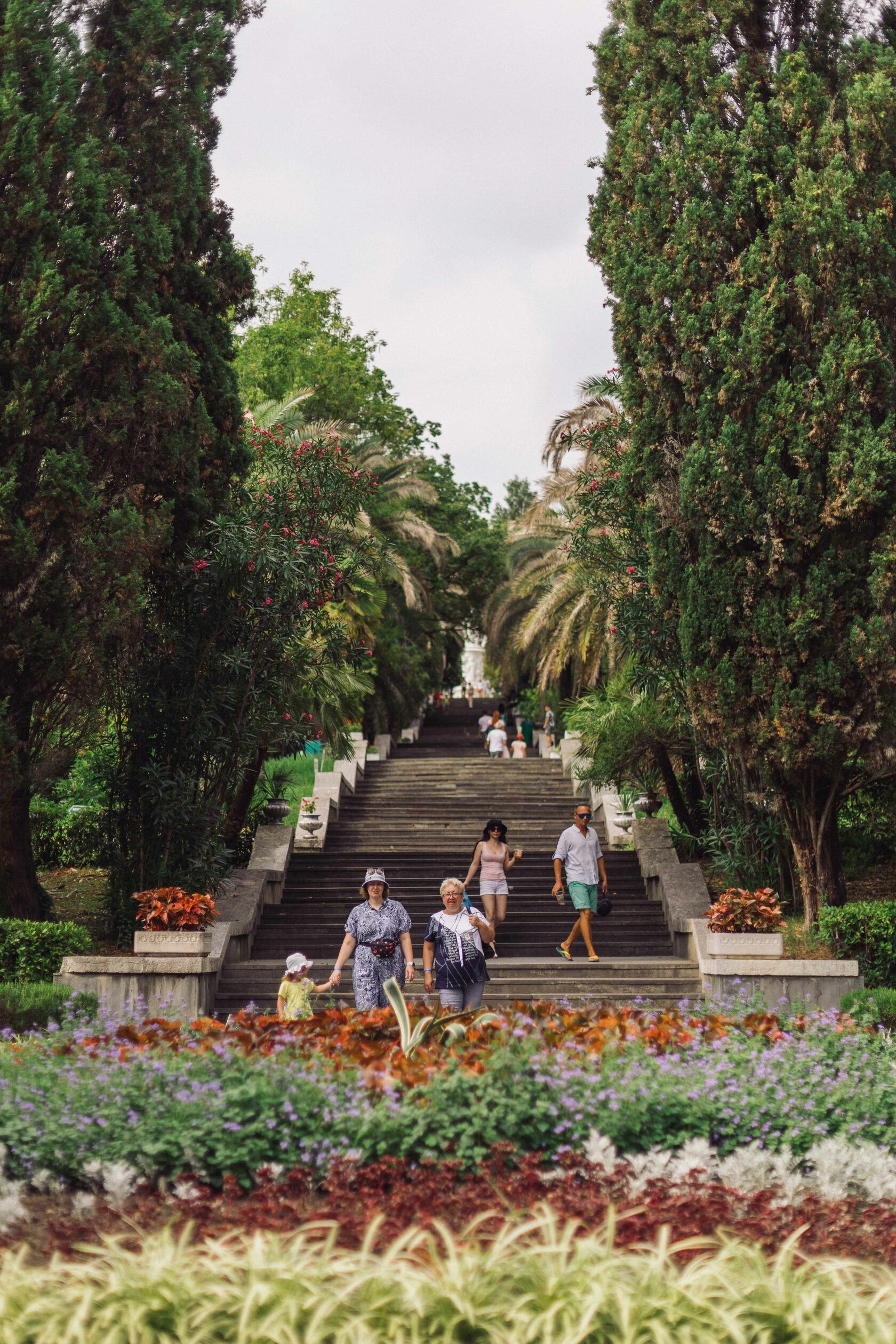 Sochi and Crimea, frame 26
