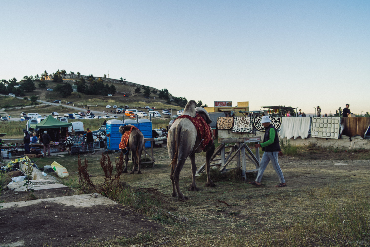 Sochi and Crimea, frame 268