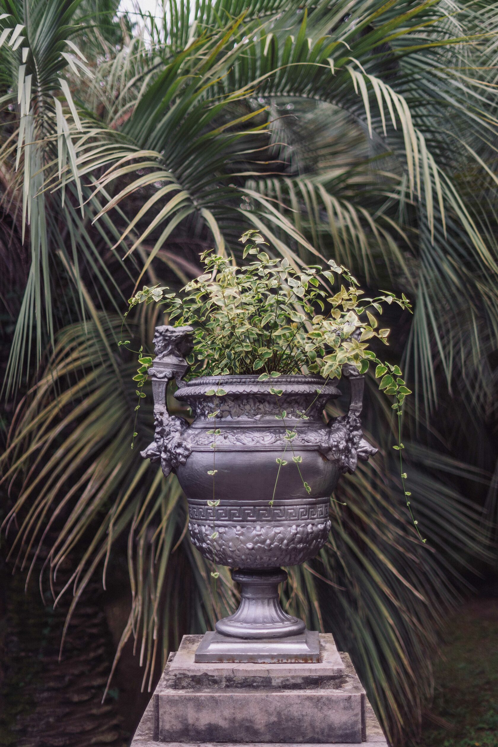Sochi and Crimea, frame 27