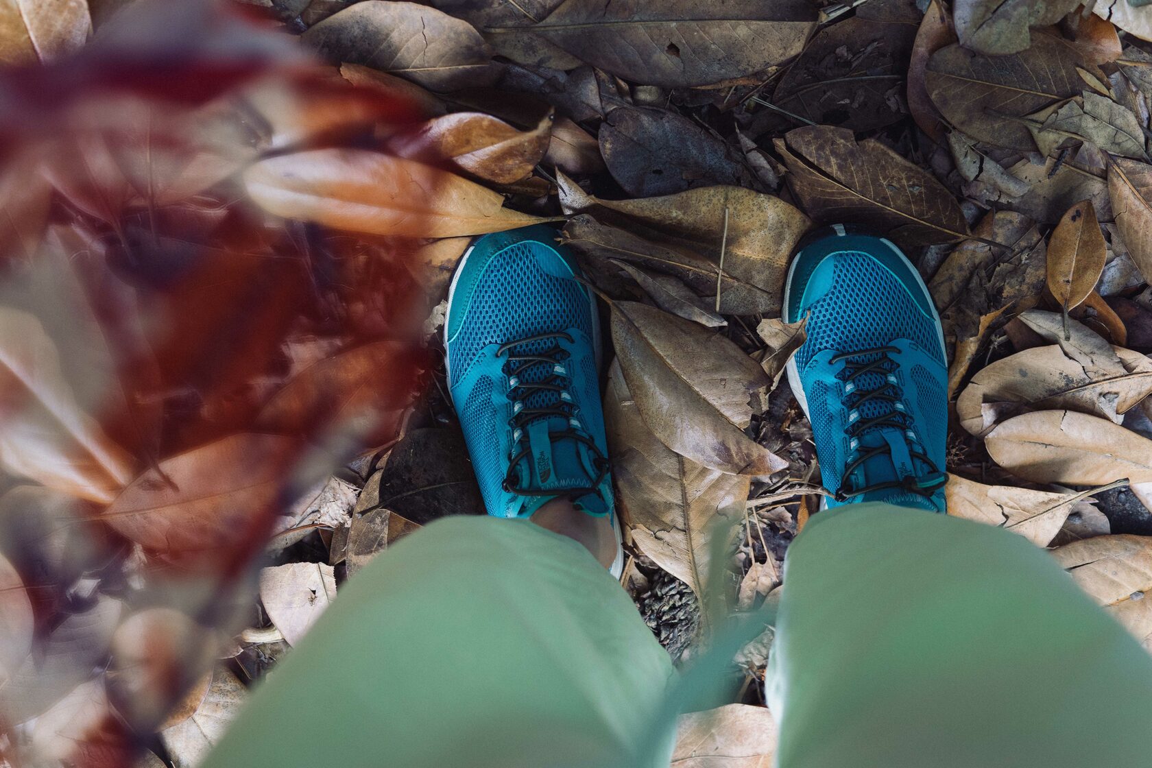 Sochi and Crimea, frame 31