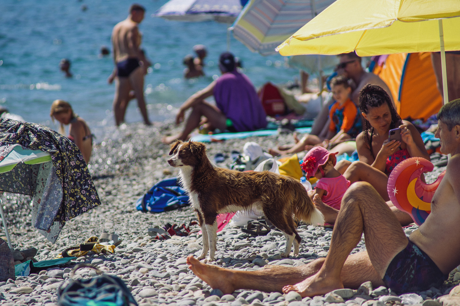 Sochi and Crimea, frame 318