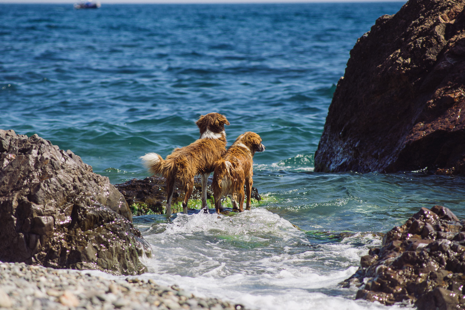 Sochi and Crimea, frame 322