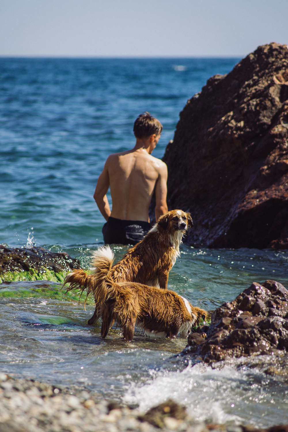 Sochi and Crimea, frame 324