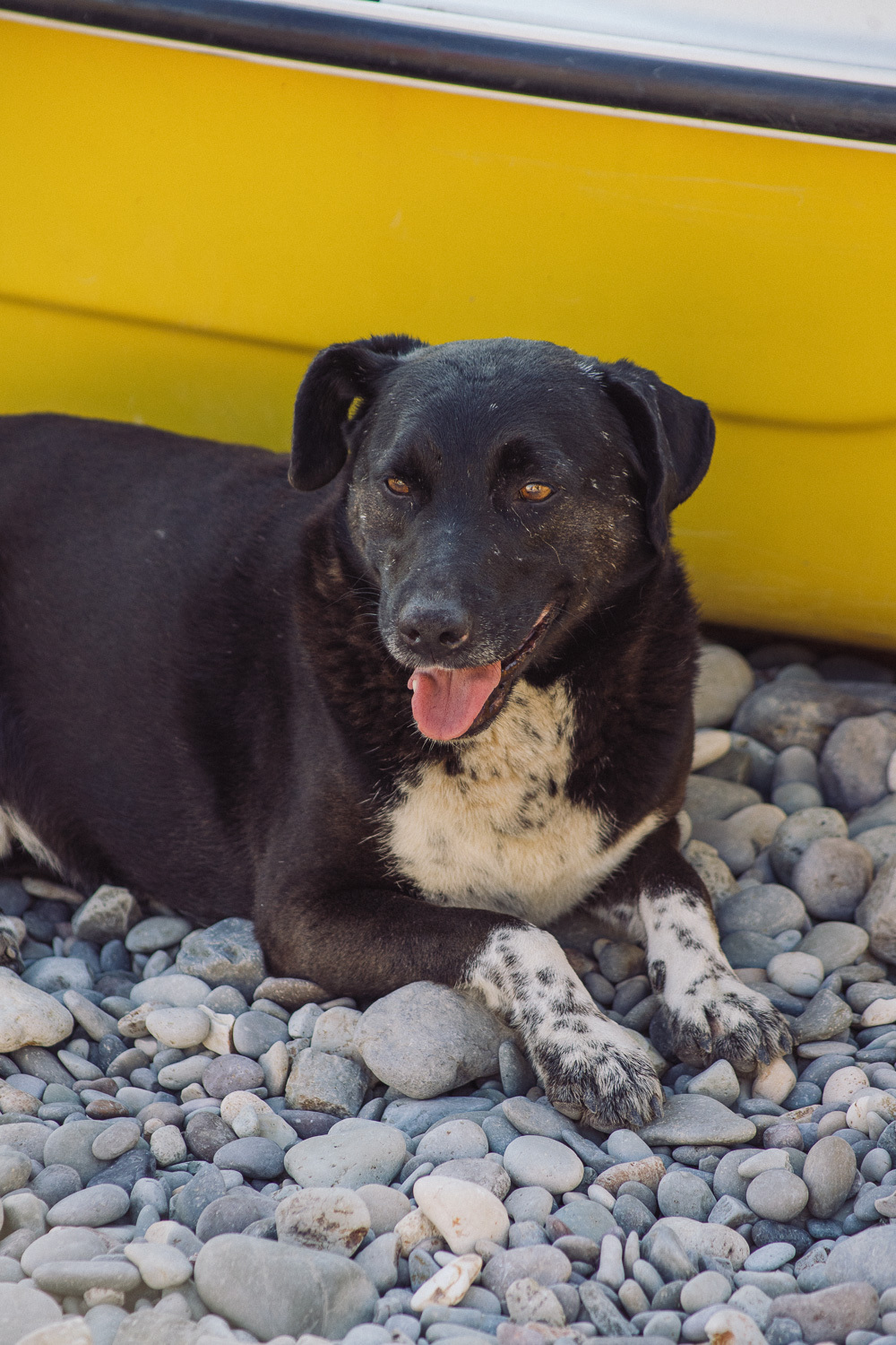 Sochi and Crimea, frame 340