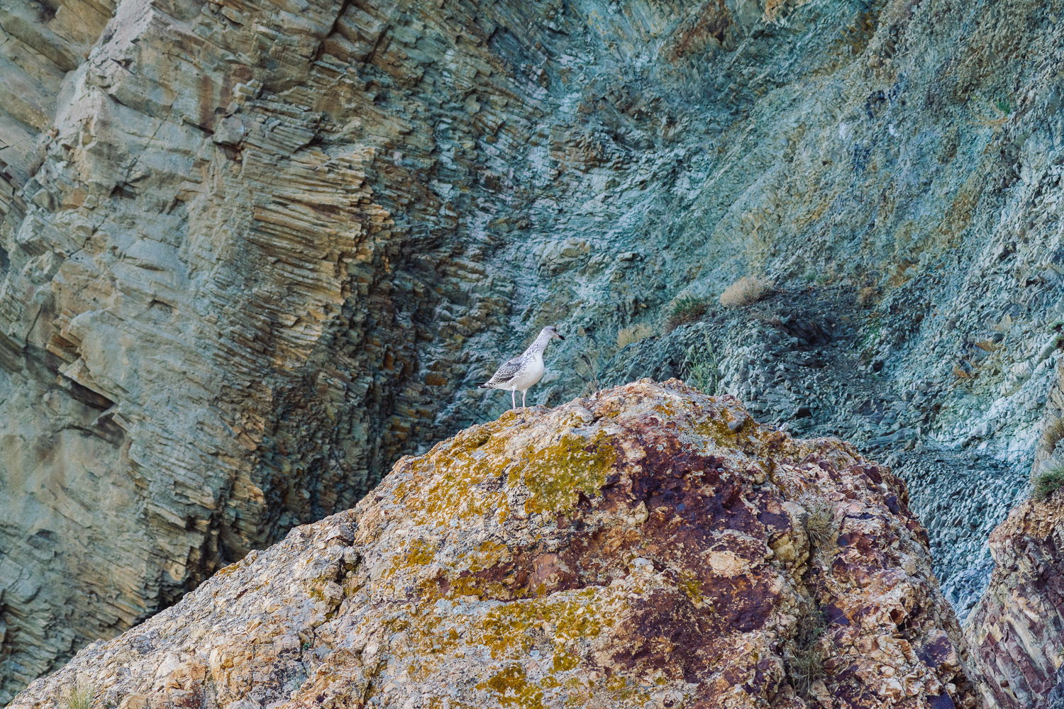 Sochi and Crimea, frame 347