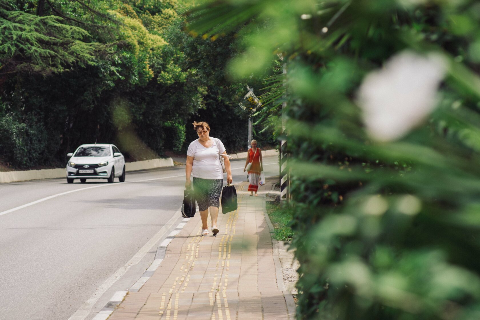Sochi and Crimea, frame 41